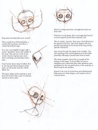 4) how to draw the mouth and teeth and tongue of a dog. Dog Nose Anatomy Anatomy Drawing Diagram