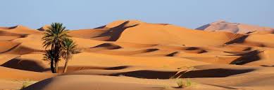Sahara was a pretty good action movie in the same mold as indiana jones, tomb raider & national treasure. Travel In The Sahara Desert What To Do In The Sahara Morocco Travel Guide