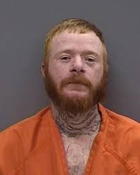 30-year-old CHRISTOPHER ALONSO from RIVERVIEW was booked