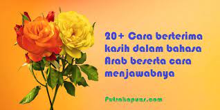 Dimana orang yang mengucapkan terima kasih dan orang yang menerimanya dapat menjalin kualitas hubungan sosial yang lebih baik. 20 Cara Mengucapkan Terima Kasih Dalam Bahasa Arab Dan Jawabannya Putra Kapuas