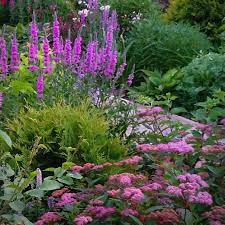 Pin On Garden Design