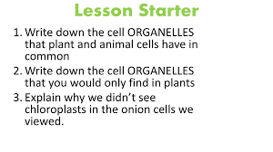 Maybe you would like to learn more about one of these? Lesson Starter Write Down The Cell Organelles That Plant And Animal Cells Have In Common Write Down The Cell Organelles That You Would Only Find In Ppt Download