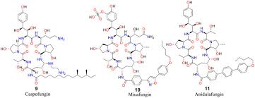 Image result for Micafungin