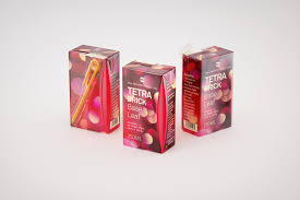 Tetra Brick Base Leaf 250ml With A Straw Packaging 3d Model Pak Tetra Tetra Pak Paks