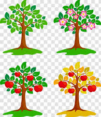 Spring drawing flower drawing tutorials sketch book flower art flower drawing drawing supplies flower painting drawing tutorial plant drawing. Drawing Painting Illustration Flowerpot Fruit Trees Transparent Png