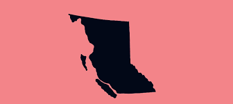 The governor has ordered everyone to wear a face mask in public spaces level green is the least restrictive, under which businesses can operate at. B C S Response To Covid 19 Province Of British Columbia