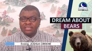DREAM ABOUR BEARS