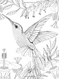 Robot Check Bird Coloring Pages Coloring Pages Coloring Books