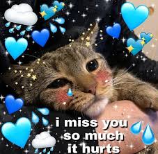 Eu Sinto Muito Sua Falta Todo Dia Quando A Gente Briga Quando Voce Some Quando Voce Vai Jogar Ou Assistir Quando E Cute Cat Memes Love Memes Cute Love Memes