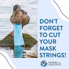 This was 100% of all the recorded bottcher's in the usa. Takmnfvktrjt6m