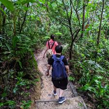 It was first established in 1938/39 as the king george v national park, when the sultans of the three states hiking. Hiking At Taman Tugu During Rmco June 2020 Kyension Com