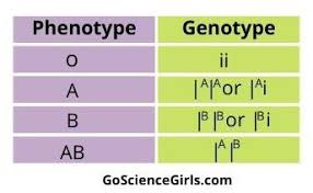 Start a free trial now to save yourself time and. Basics Of Genetic Inheritance Complete Guide
