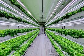 Of, constituting, or resulting in vertical combination. Uae To Launch Hydroponic Vertical Farming In 2020 News Time Out Dubai
