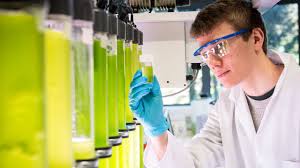 A bachelor's degree is the minimum requirement to become a chemical engineer. Department Of Chemical Engineering