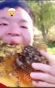 OMG! Man eats bee hive. #wrf #dumb #crazy