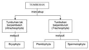 Check spelling or type a new query. Buat Contoh Skema Hewan Brainly Co Id