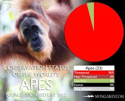 Chart The Worlds Most Endangered Apes