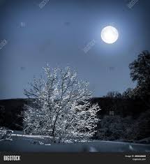 The best selection of royalty free full moon over water vector art, graphics and stock illustrations. Lonely Tree Snow Image Photo Free Trial Bigstock