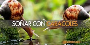 También reduce el riesgo del caracol ante las heridas. Sonar Con Caracoles