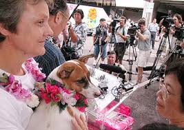 Honolulu Star-Bulletin Hawaii News