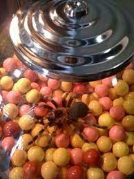 Fear Factor Games For Birthday Parties Ehow Fear Factor Games Fear Factor Party Fear Factor