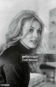 Sharon Kim's Instagram, Twitter & Facebook