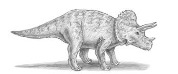 Happy Draw A Dinosaur Day Lili On The Loose Animal Drawings Dinosaur Drawing Animal Sketches