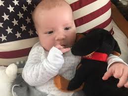 🦉Rosie🦉enjoys TV📺 with mom 🐾😍🐾