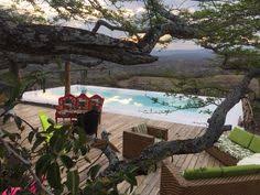 Conecto con la naturaleza, con los. 10 Ideas De Bethel Bio Luxury Hotel Disenos De Unas Piscinas De Suenos Casa De Cob