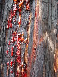 Image result for texture bleeding