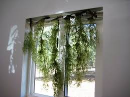 Spanish Moss Curtains Curtains Home Decor Decor
