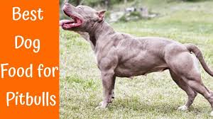 Taste of the wild grain free is a great choice for pitbull puppies. 13 Best Dog Food For Pitbulls To Gain Muscle And Weight 2020 Updated