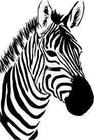 Zebra Head File Cdr And Dxf Free Vector Download For Print Or Laser Download Free Vectors Zebra Art Zebra Illustration Zebra Painting