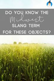 Trivia quizzes are a great way to work out your brain, maybe even learn something new. Do You Know The Midwest Slang Terms For These Objects Midwest Slang Michigan
