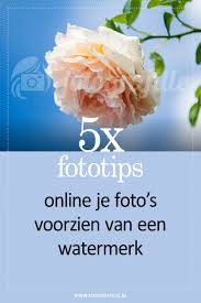 5x Online Je Foto S Voorzien Van Een Watermerk Fotografille Fototips Watermerk Fotografie Fotografie