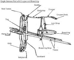 Team Horse Harness Parts Harness Parts Explained With