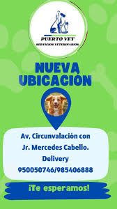 PUERTO VET
