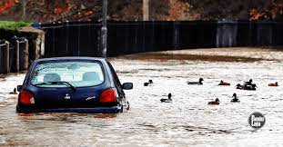 We did not find results for: Apanakbuat Hujan Lebat Ikut Tip Ini Untuk Memandu Selamat