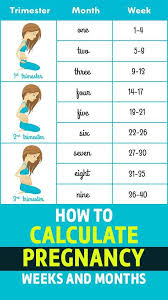 Pin On Pregnancy