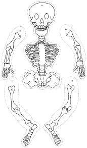 Organlar Panosundaki Pin
