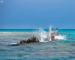 تقرير مشروع البحر الأحمر وثبة حضارية ورحلة تنزه في حدائق الش عب المرجانية وكالة الأنباء السعودية