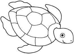 Here presented 53+ ninja turtle drawing pictures images for free to download, print or share. How To Draw A Sea Turtle Bilscreen