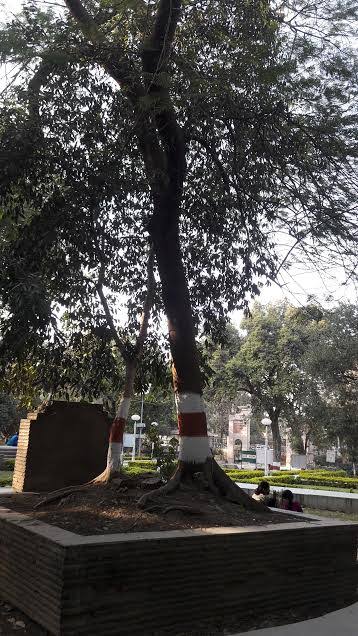 Chandra Shekhar Azad: Free to the end, he inspires us to this day - Connected to India News I Singapore l UAE l UK l USA l NRI