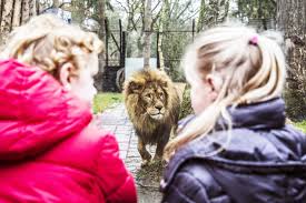 In dierenpark amersfoort raak je letterlijk ondersteboven van de dierenwereld. Dierenpark Amersfoort Linkedin