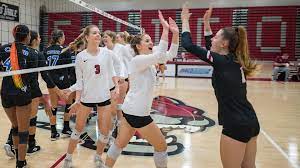 Lexi Carpenter - 2023 - Volleyball - Chico State Athletics