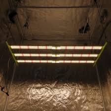 We did not find results for: Full Spectrum Led Quantum Board Buying Guide Growdoctorguides