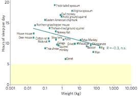 Humans Are Natural Plant Eaters In Depth Article