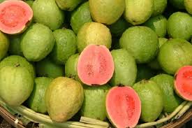 Jual bibit tanaman buah jambu madu deli hijau kualitas unggul harga murah dengan daging renyah, tanpa biji, rasa manis, cepat berbuah dan produktifitas tinggi. Khasiat Buah Jambu Biji Ternyata Tidak Tertandingi Genpi Co