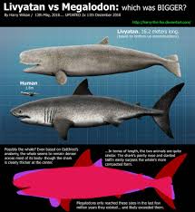 So who was king of the ancient ocean, the true apex predator of the miocene? Livyatan Melvillei Vs Megalodon By Harry The Fox Megalodon Whale Shark