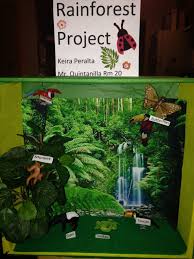 Biome In A Box Tropical Rainforest Pin By Rachel Gomez Gallegos On Projects Biomes Project Ecosystems Projects Rainforest Biome